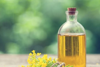 Nghiên cứu mới: Dầu canola làm trầm trọng bệnh Alzheimer