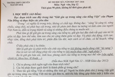 Chữ Quốc ngữ cải tiến đã vào đề thi Ngữ Văn trường chuyên