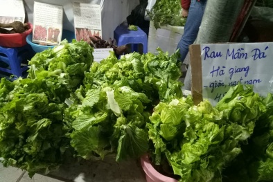 Rau củ miền núi ‘đổ bộ', bà nội trợ Hà Thành ‘tranh’ nhau mua