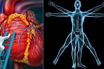 Những sự thật 'không thể tin nổi' về cơ thể người
