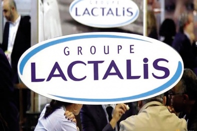 Sữa của Tập đoàn Lactalis được cảnh báo nguy cơ nhiễm khuẩn vẫn bán tràn lan