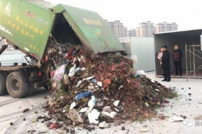 Bới tung 13 tấn rác trong 2 giờ, tìm được viên kim cương trị giá 'khủng'
