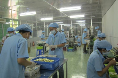 Tăng cường thanh tra sản xuất thực phẩm trong năm 2018