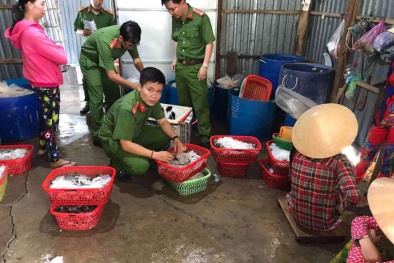 'Nóng' tình trạng bơm tạp chất vào tôm, cách nào giải quyết?