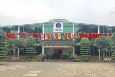 Kinh nghiệm áp dụng 5S, KAIZEN tại Công ty CP Viglacera Thăng Long