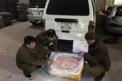 Gần 300kg nầm lợn mốc đen đem đi tiêu thụ bị bắt giữ