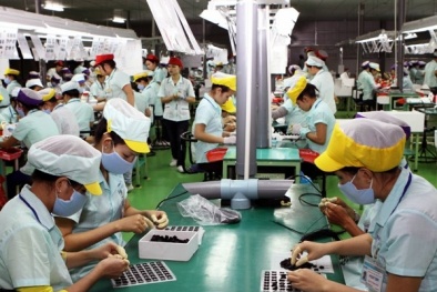 Những 'trái ngọt' sau 4 năm triển khai Nghị quyết 19