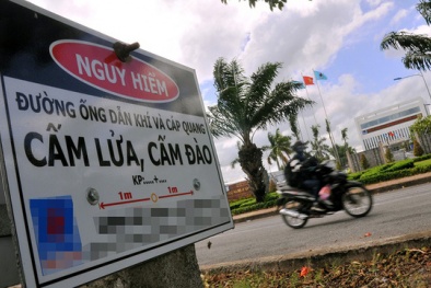 ‘Ông lớn' EVN bị truy thu 1.935 tỷ đồng: Chuyên gia nói gì?