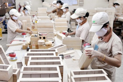 Long An: Nhiều doanh nghiệp được hỗ trợ công bố hợp quy, bảo hộ sáng chế