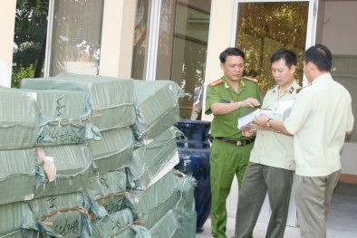 Bình Dương: Phạt hành chính hơn 197 tỷ đồng về vi phạm hàng hóa