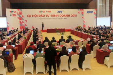 Nhà đầu tư nên lựa chọn cổ phiếu ra sao trong năm 2018?
