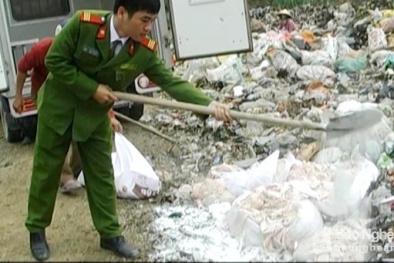 Nghệ An: Tiêu hủy gần 200 kg mỡ lợn bốc mùi hôi thối