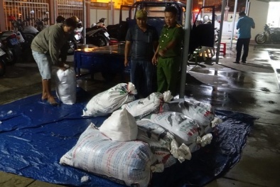 Hàng trăm cân chả cá bị phát hiện có chứa hàn the
