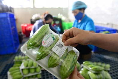Hà Nội 'tuyên chiến' chống lại thực phẩm bẩn, không rõ nguồn gốc