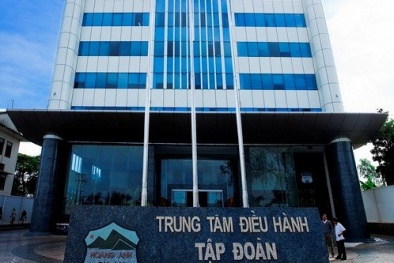 Cổ phiếu công ty bầu Đức ‘cháy hàng’ sau thông tin hai ‘nữ tướng’ thâu tóm