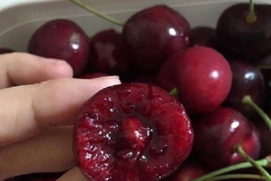 Cây độc: Là trái cây sang chảnh, nhưng Anh đào đen có thể gây chết người