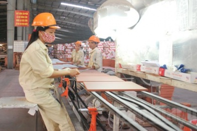 Doanh nghiệp khắc phục nhiều hạn chế nhờ áp dụng ISO