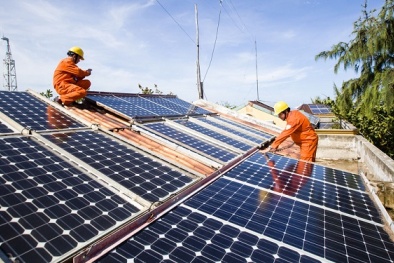 Ninh Thuận: Khởi công nhà máy điện mặt trời với mức đầu tư 800 tỷ đồng
