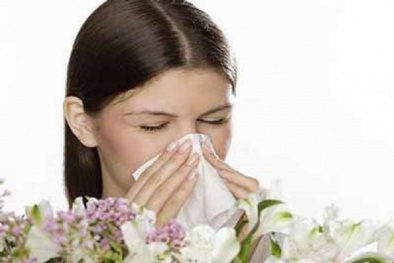 Mùa xuân và nỗi khổ của những người bệnh viêm mũi dị ứng