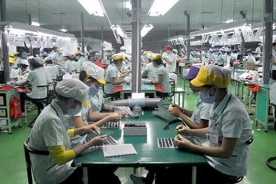 Thưởng Tết 2018 cho nhân viên bằng thuốc trừ sâu, phân bón