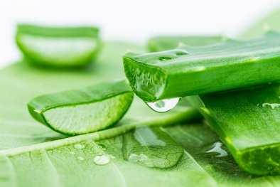 Công dụng làm đẹp tuyệt vời từ nha đam