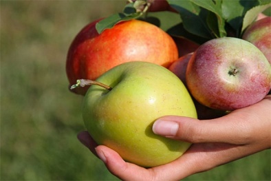 Mắc phải căn bệnh hiếm gặp vì ăn trái cây không rửa sạch