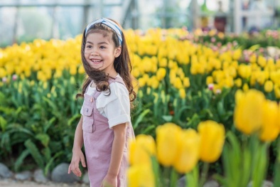 Ra mắt lễ hội tulip lớn nhất Việt Nam tại Vinpearl Nha Trang