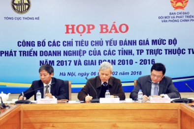 Tổng cục Thống kê lên tiếng về FDI có lợi nhuận cao nhưng đóng ngân sách thấp