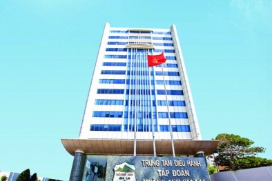 Công ty bầu Đức đứng trước nguy cơ bị hủy niêm yết