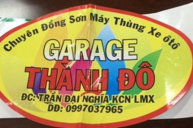 Truy tố 10 bị can trong đường dây bán logo “giải cứu” xe quá tải