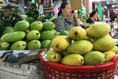 Trái cây miền Tây được giá ngày cận Tết