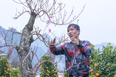 Nhộn nhịp chợ hoa xuân trên đất mỏ Quảng Ninh chiều 30 Tết