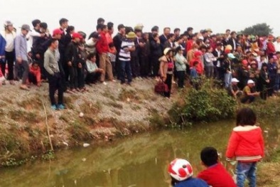 Thực hư 'cá thần' được người dân Nghệ An đồn thổi
