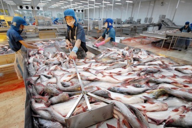 Khắc phục thẻ vàng cho thủy sản Việt Nam: Nhiều tín hiệu vui