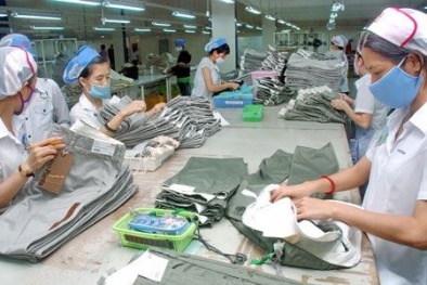 Công bố danh sách các tổ chức chứng nhận, giám định chất lượng sản phẩm dệt may