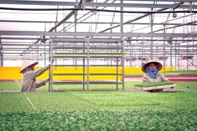 Nông nghiệp công nghệ cao và công nghệ số: Lộ trình không thể thay đổi