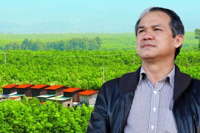 Vì sao bầu Đức mất hơn 730 tỷ đồng chỉ trong vòng 1 tháng?