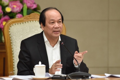 Không cài cắm câu chữ để bẫy doanh nghiệp