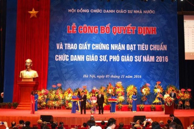 Tiêu chuẩn chung của chức danh giáo sư, phó giáo sư như thế nào?