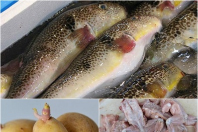 Những loại thực phẩm tự nhiên có độc cần cẩn trọng trong quá trình chế biến