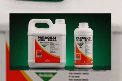 Ngộ độc thuốc diệt cỏ Paraquat không ngừng tăng dù đã bị cấm, lỗ hổng ở đâu?