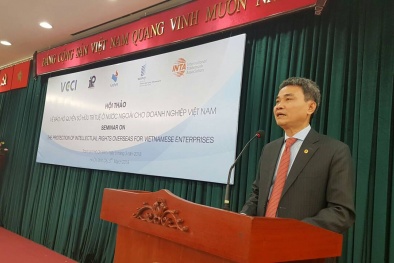 Bảo hộ quyền SHTT ở nước ngoài tạo điều kiện cho hàng hóa Việt Nam rộng đường hội nhập