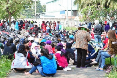Thủ tướng yêu cầu báo cáo vụ doanh nghiệp nợ lương công nhân