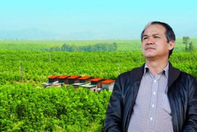 Cổ phiếu công ty bầu Đức tăng giá: Nhà đầu tư có tiền cũng không thể mua