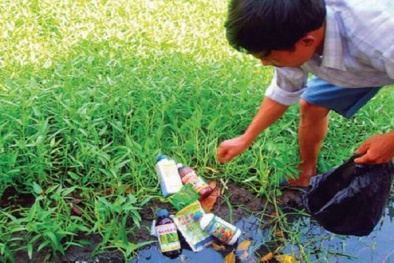 Rau có những dấu hiệu này coi chừng nhiễm thuốc kích thích sinh trưởng
