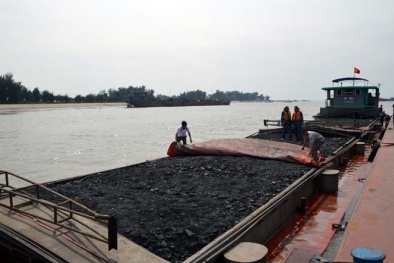 Quảng Ninh: Bắt giữ tàu vận chuyển 1.000 tấn than có dấu hiệu vi phạm