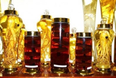 Rượu thuốc tự ngâm 'thần dược' hay 'độc dược'