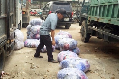 Thu giữ lượng lớn mũ bảo hiểm không rõ xuất xứ đi tiêu thụ