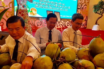 Bến Tre công bố chỉ dẫn địa lý dừa uống nước xiêm xanh và bưởi da xanh