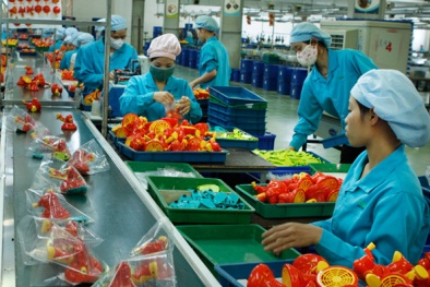 Thúc đẩy hoạt động khoa học công nghệ, tạo nền tảng tăng năng suất lao động
